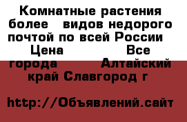 Комнатные растения более200видов недорого почтой по всей России › Цена ­ 100-500 - Все города  »    . Алтайский край,Славгород г.
